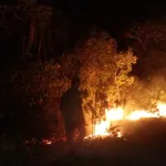 Damkar Wakatobi Padamkan Kebakaran Lahan di Desa Komala, Diduga Berasal dari Bara Api yang Tersisa