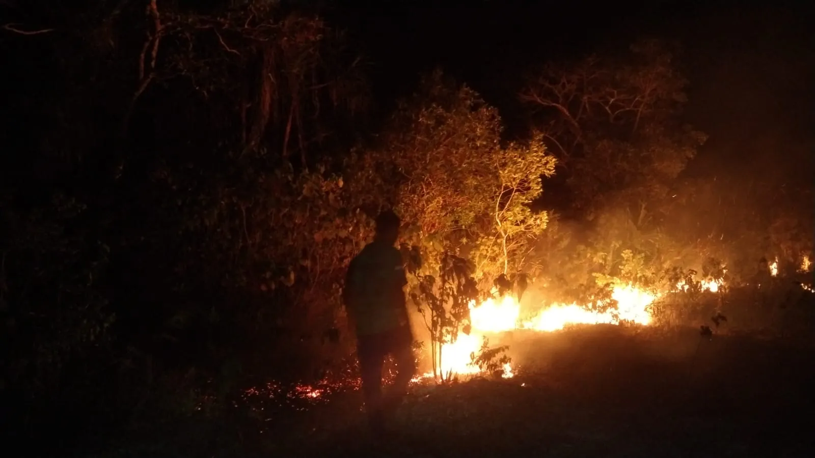 Damkar Wakatobi Padamkan Kebakaran Lahan di Desa Komala, Diduga Berasal dari Bara Api yang Tersisa